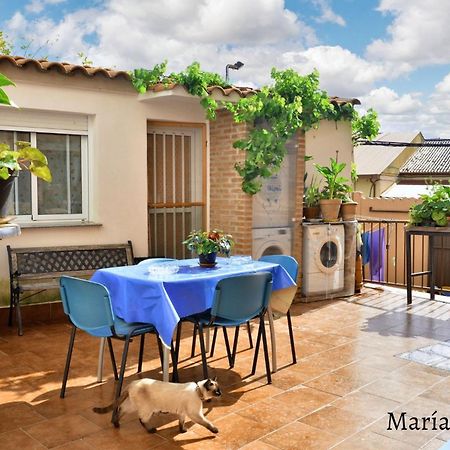 Comfortable Apartment In Caceres 55 M² Welcoming Terrace Eksteriør bilde