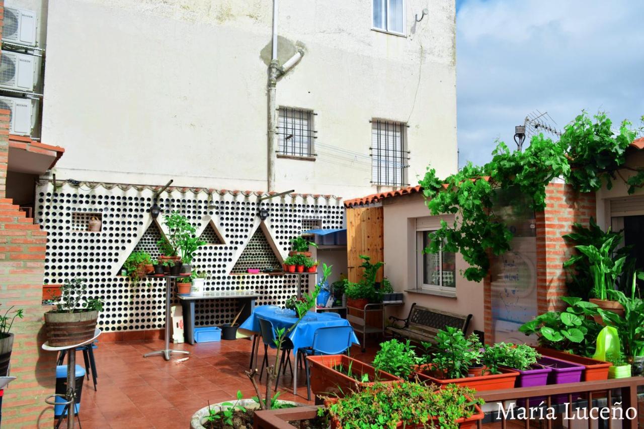 Comfortable Apartment In Caceres 55 M² Welcoming Terrace Eksteriør bilde