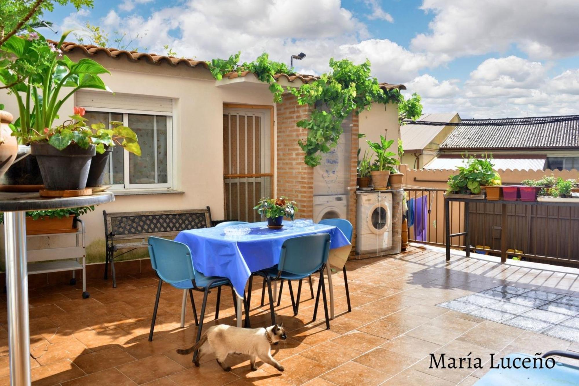 Comfortable Apartment In Caceres 55 M² Welcoming Terrace Eksteriør bilde